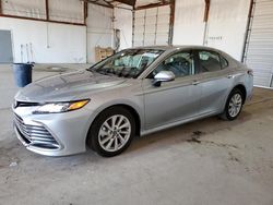 Salvage cars for sale at Lexington, KY auction: 2023 Toyota Camry LE