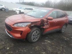 Vehiculos salvage en venta de Copart Windsor, NJ: 2020 Ford Escape SEL