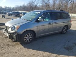 Salvage cars for sale at Ellwood City, PA auction: 2009 Honda Odyssey EXL