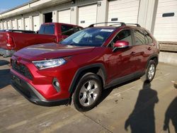 Salvage cars for sale from Copart Louisville, KY: 2021 Toyota Rav4 XLE