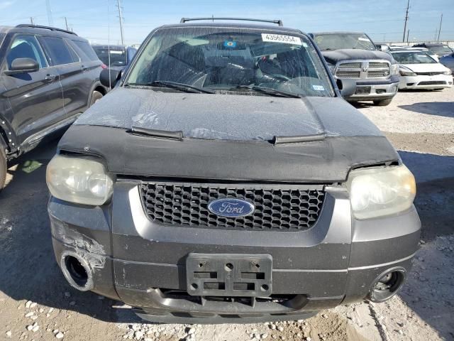 2006 Ford Escape XLT