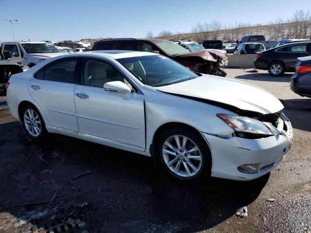 2010 Lexus ES 350