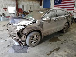 Salvage cars for sale at Helena, MT auction: 2011 Honda CR-V EXL