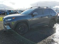 Salvage cars for sale from Copart Eugene, OR: 2021 Toyota Rav4 LE
