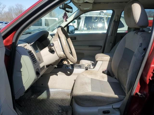 2008 Ford Escape XLT