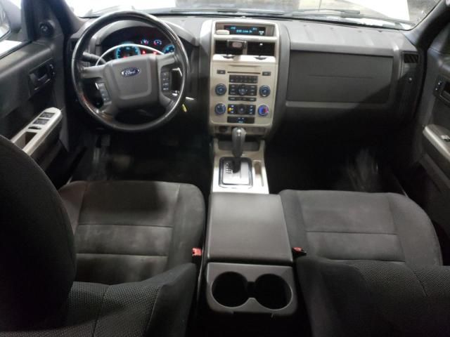 2009 Ford Escape XLT