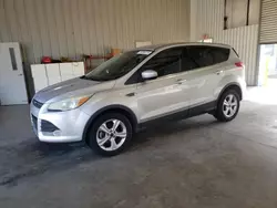 Salvage cars for sale from Copart Lufkin, TX: 2014 Ford Escape SE