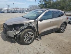 Salvage cars for sale from Copart Lexington, KY: 2020 Ford Escape SEL