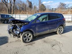 Salvage cars for sale at Albany, NY auction: 2013 Ford Escape SE