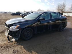 Salvage cars for sale from Copart London, ON: 2010 Nissan Maxima S