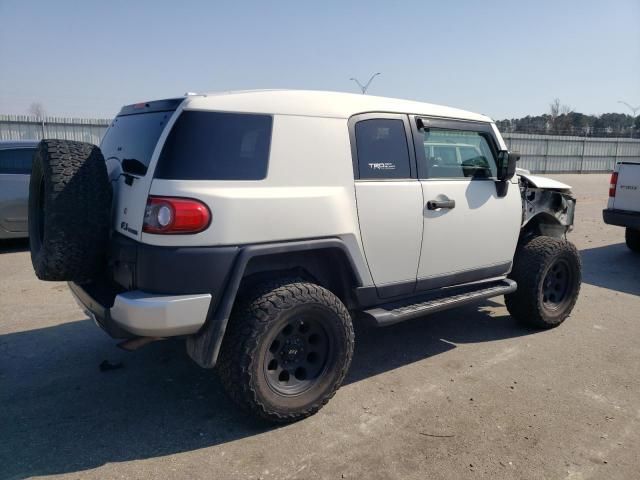 2013 Toyota FJ Cruiser