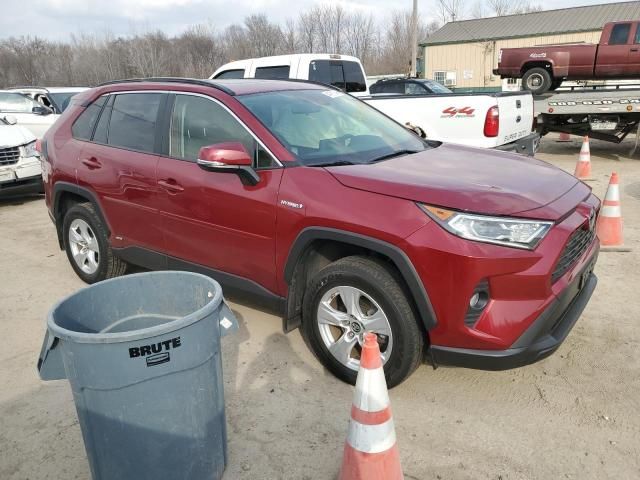 2019 Toyota Rav4 XLE