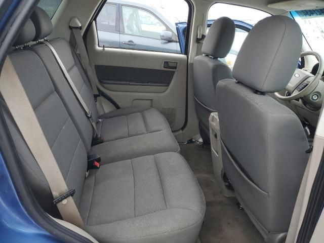 2009 Ford Escape XLT