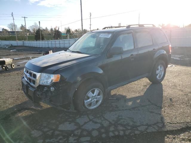 2011 Ford Escape XLT