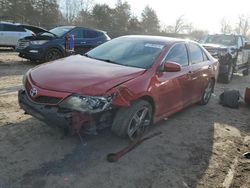 Toyota Camry l salvage cars for sale: 2013 Toyota Camry L