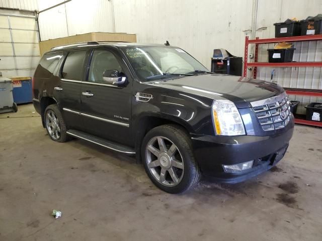 2011 Cadillac Escalade Luxury