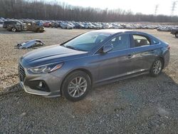 2019 Hyundai Sonata SE for sale in Memphis, TN