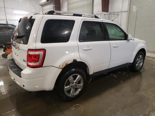 2011 Ford Escape Limited