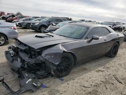 Dodge Challenger salvage cars for sale: 2016 Dodge Challenger R/T