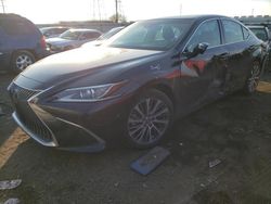 2021 Lexus ES 250 Base for sale in Elgin, IL