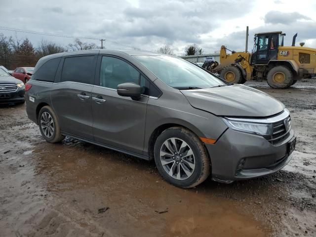 2022 Honda Odyssey EXL