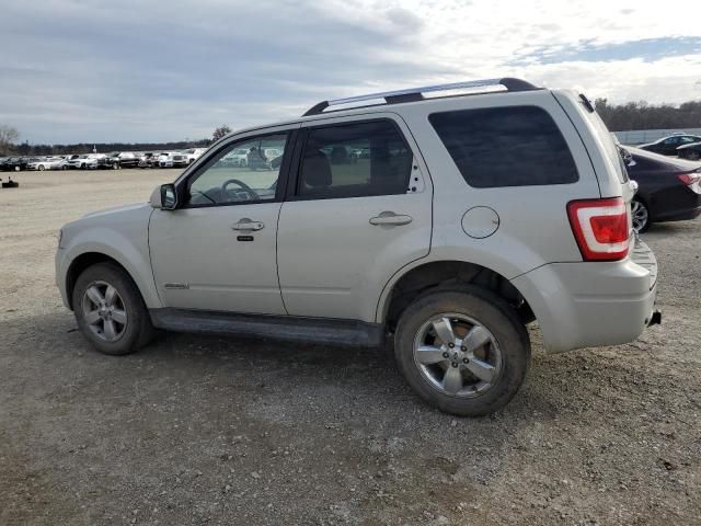 2008 Ford Escape Limited