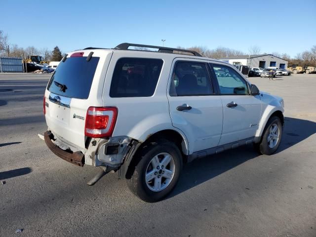 2009 Ford Escape Hybrid