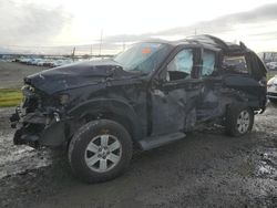 Salvage cars for sale from Copart Eugene, OR: 2009 Ford Explorer XLT