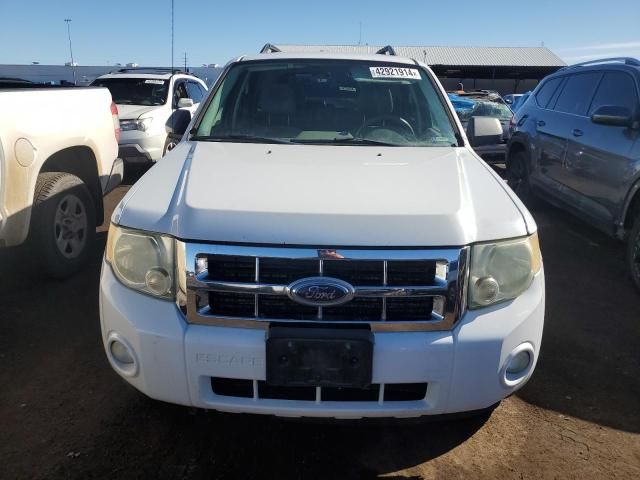 2008 Ford Escape HEV