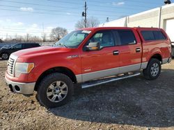 Salvage cars for sale from Copart Ham Lake, MN: 2011 Ford F150 Supercrew