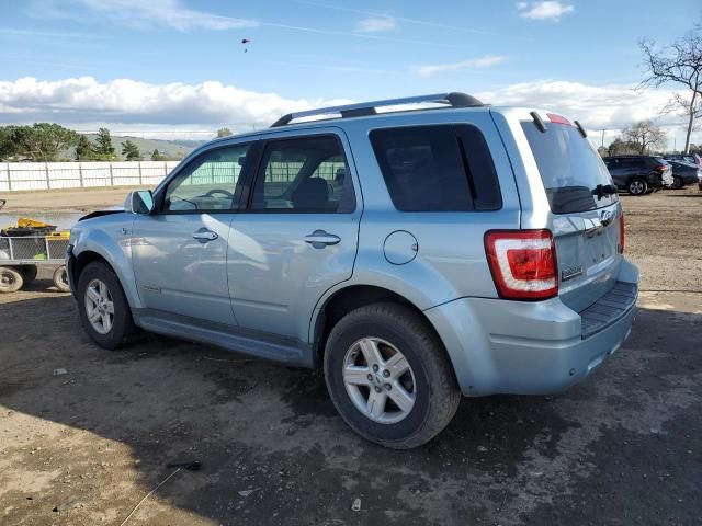 2008 Ford Escape HEV