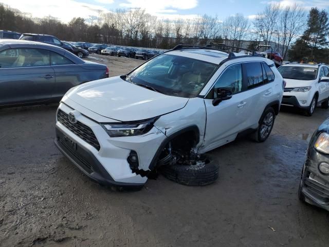 2023 Toyota Rav4 XLE Premium