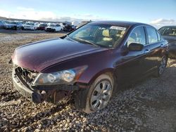 Salvage cars for sale at Magna, UT auction: 2008 Honda Accord EXL