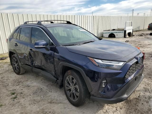 2023 Toyota Rav4 XLE Premium