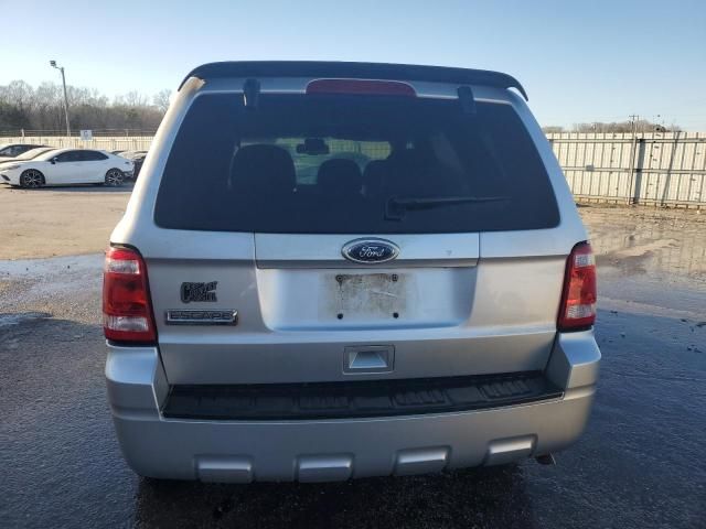 2010 Ford Escape XLT