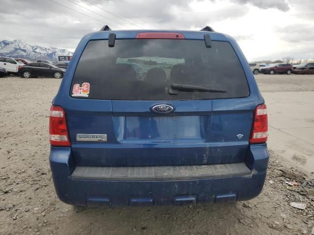 2008 Ford Escape XLT