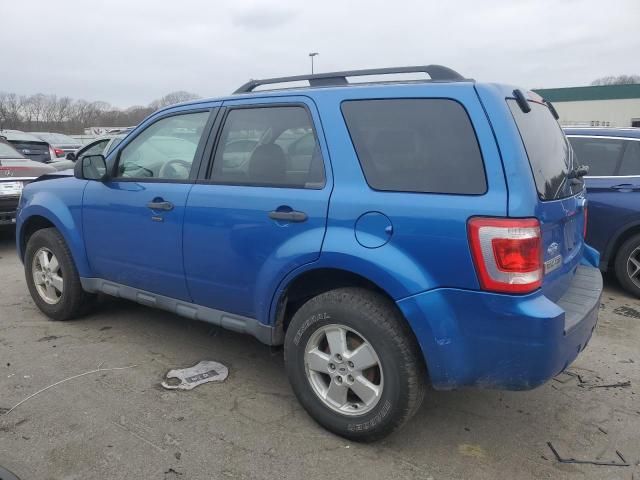 2011 Ford Escape XLT