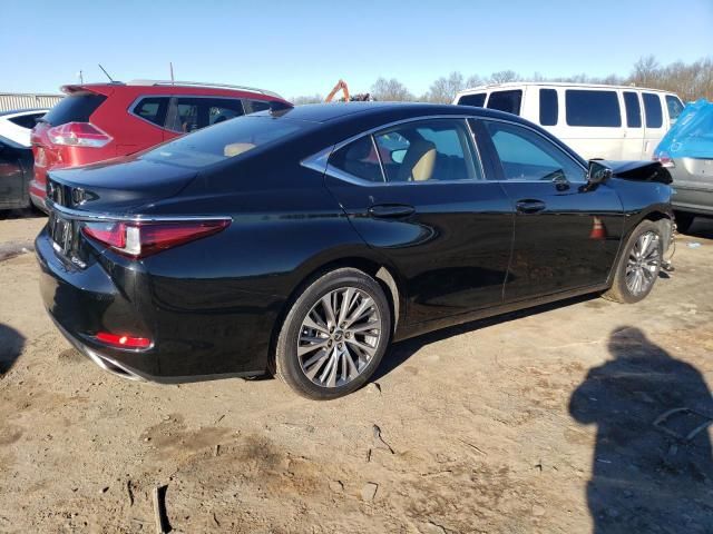 2019 Lexus ES 350