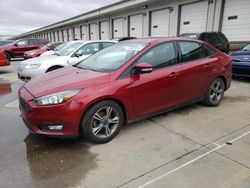 Salvage cars for sale at Louisville, KY auction: 2016 Ford Focus SE