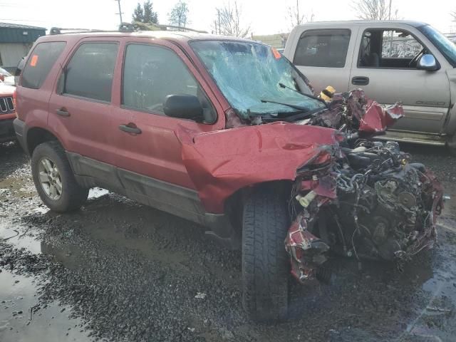 2005 Ford Escape XLT