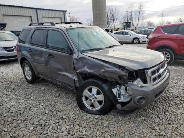 2012 Ford Escape XLT