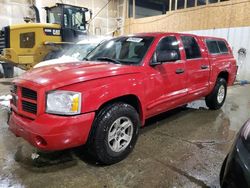 Vehiculos salvage en venta de Copart Anchorage, AK: 2005 Dodge Dakota Quad SLT