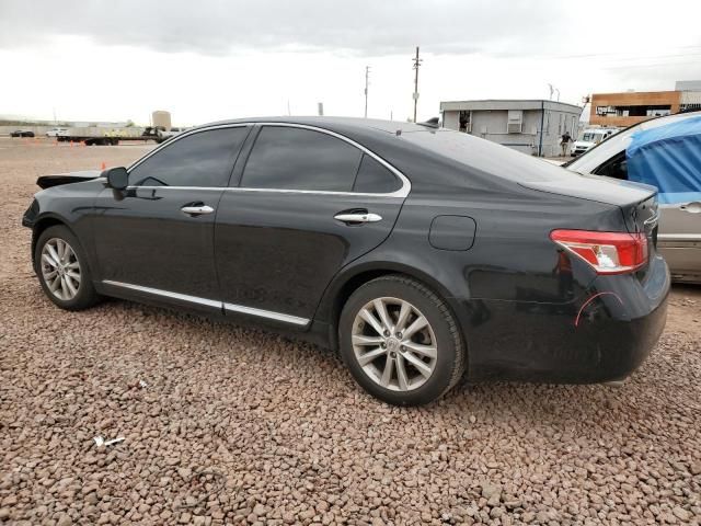 2010 Lexus ES 350