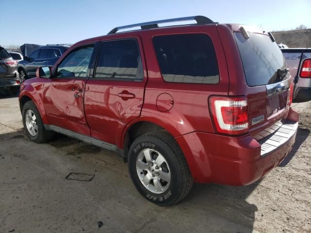 2009 Ford Escape Limited