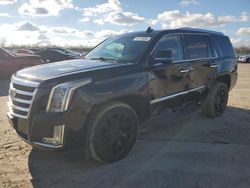 Cadillac Vehiculos salvage en venta: 2019 Cadillac Escalade Luxury