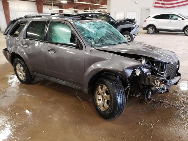 2010 Ford Escape Limited