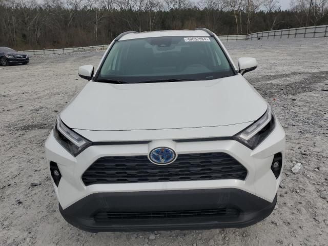 2024 Toyota Rav4 XLE Premium