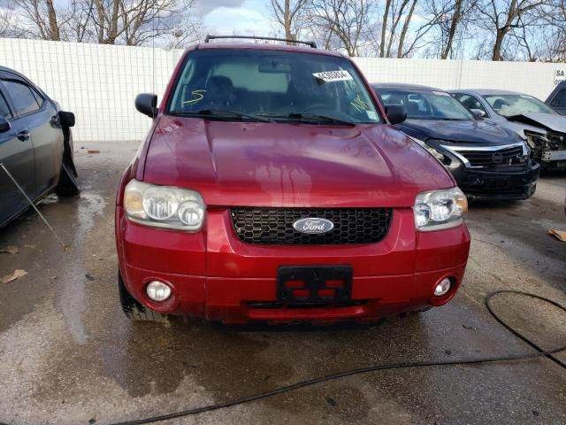 2007 Ford Escape XLT