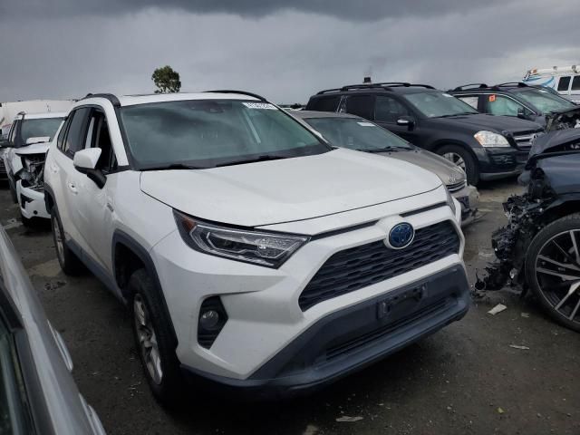 2019 Toyota Rav4 XLE