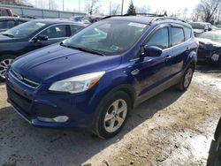 Salvage cars for sale from Copart Lansing, MI: 2013 Ford Escape SE